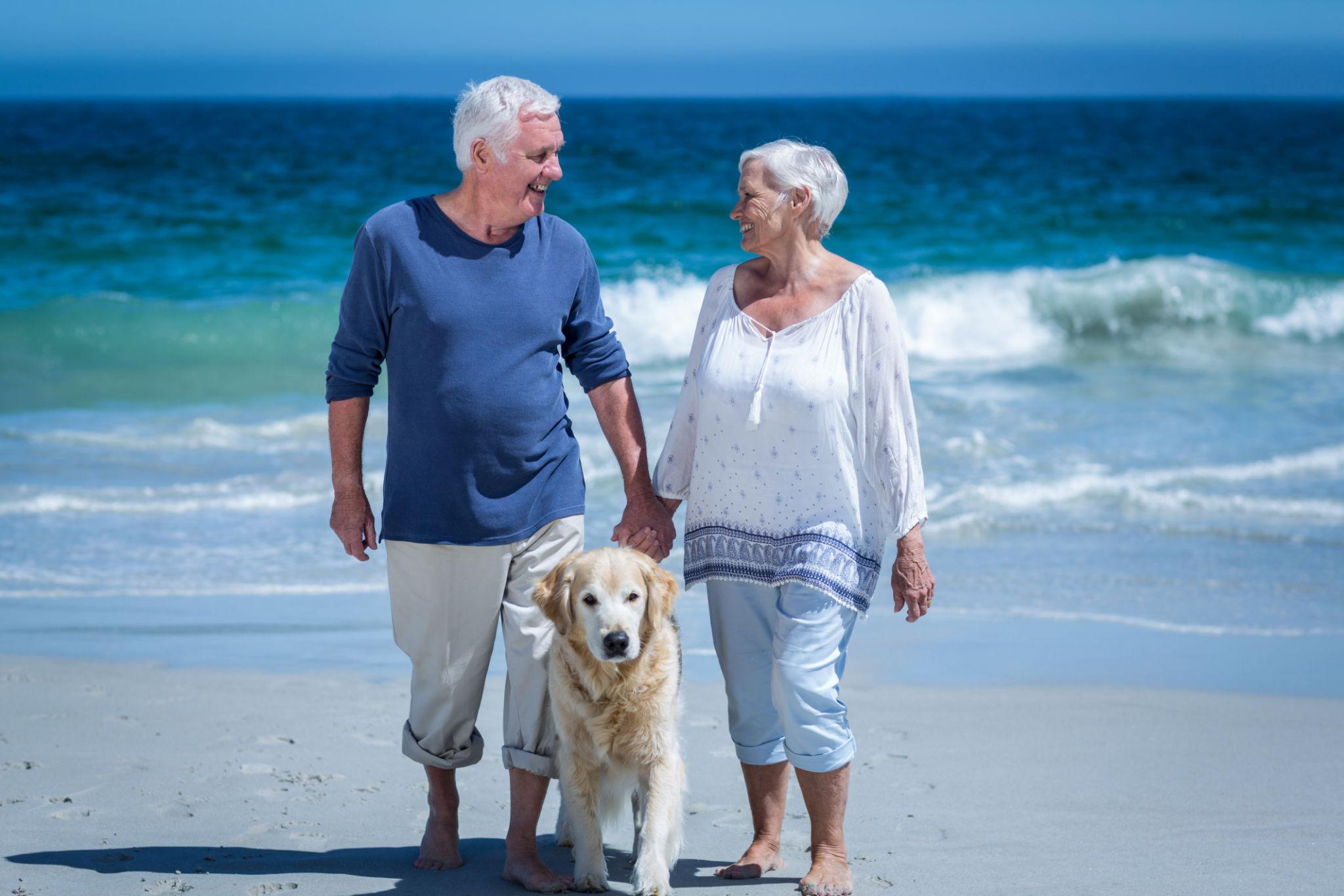 Margaret and John walking their dog along a sunny coastal path