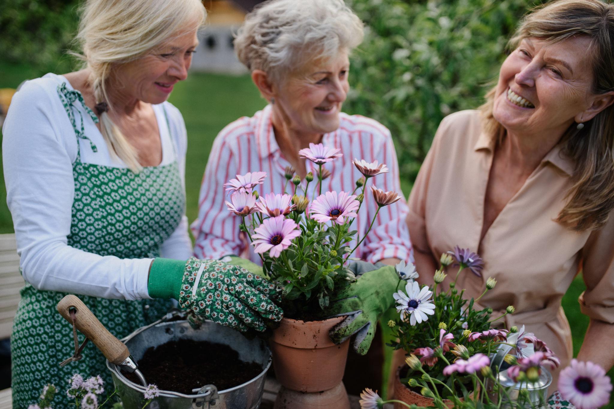 Patricia and friends laughing while tending a shared garden plot